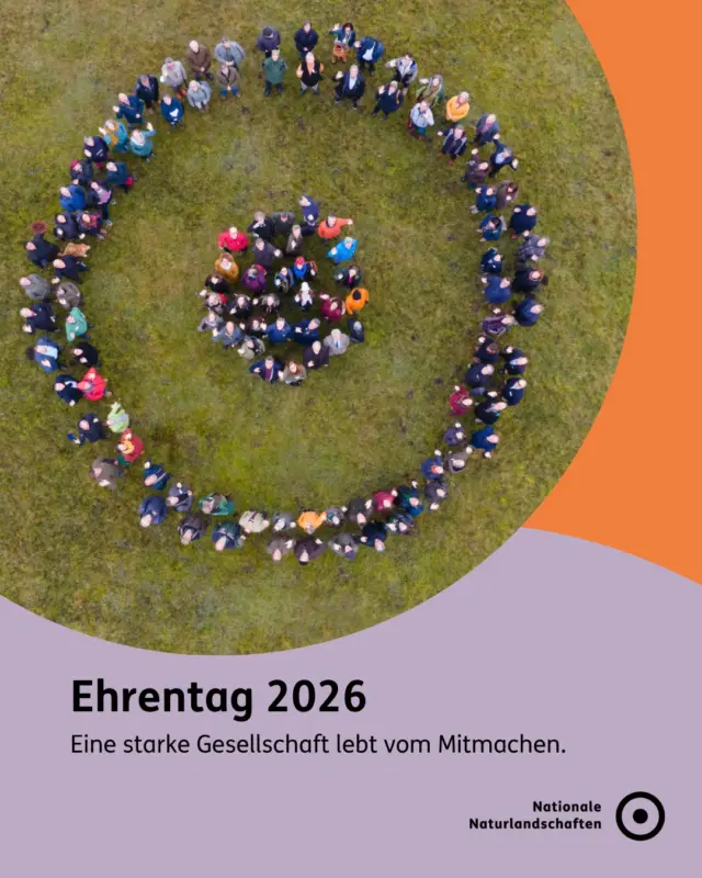 Heute ist Ehrentag – ein Tag, der zeigt: Eine starke Gesellschaft lebt vom Mitmachen. 🤝🌍

@der.ehrentag  ist ein neuer bundesweiter Mitmachtag zum heutigen Geburtstag des Grundgesetzes, initiiert von @bundespraesident.steinmeier  gemeinsam mit der Deutschen Stiftung für @engagement_und_ehrenamt . 💐

Demokratie, Zusammenhalt und der Schutz unserer Lebensgrundlagen entstehen dort, wo Menschen Verantwortung übernehmen – füreinander und für die Natur. 🌱

In den Nationalen Naturlandschaften engagieren sich Menschen auf ganz unterschiedliche Weise: bei Pflegeeinsätzen, Umweltbildung, Junior-Ranger-Programmen, Monitoring-Projekten und vielem mehr. 🔍

Du möchtest selbst aktiv werden? Schau doch mal bei deiner Nationalen Naturlandschaft vorbei und entdecke, wie du mitwirken kannst.  Oder unterstütze das ehrenamtliche Engagement mit einer Spende. 
Denn Natur schützen ist Gemeinschaftsaufgabe. 🫶

#nationalenaturlandschaften #NNL #zukunftgestalten #vielfaltbewahren #ehrentag

📷 Fotos: © NNL/Schutter, Führung durchs Moor im Naturpark Oberpfälzer Wald © VDN-Fotoportal/Filipp, Voluntourismus im Naturpark Südschwarzwald © Sebastian Schröder-Esch, © Hermann Stark, Großes Moorauge im Naturpark Bayerische Rhön © VDN-Fotoportal/Werner