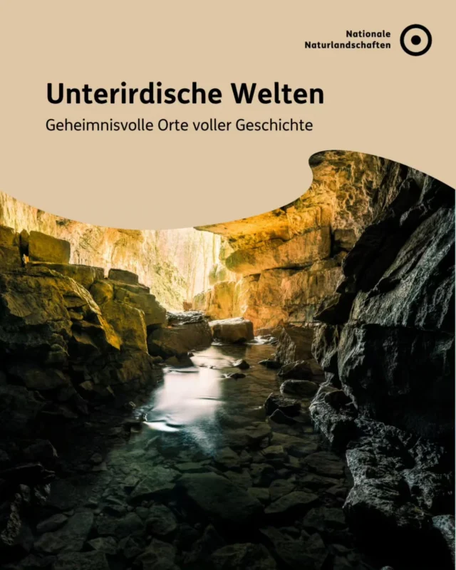 Unter uns verbirgt sich eine faszinierende Welt aus Dunkelheit und jahrtausendealten Geschichten ✨

Sie werden über Millionen von Jahren durch Wasser, Gestein und Zeit geformt und gelten als Rückzugsorte für seltene Tiere und sind Archive der Erdgeschichte 🦇

In den Nationalen Naturlandschaften lassen sich diese verborgenen Welten entdecken, zum Beispiel in den Tropfsteinhöhlen der Schwäbischen Alb, in der Falkensteiner Höhle im Naturpark Obere Donau oder in den Feengrotten im Naturpark Thüringer Schiefergebirge/Obere Saale 🔦

#nnl #nationalenaturlandschaften #umweltverstehen #höhle #kalkstein

📷 Fotos:
Bild 1: © VDN-Fotoportal/Miklos Szorenyi
Bild 2: © VDN-Fotoportal/Else Krammel; © VDN-Fotoportal/Miklos Szorenyi
Bild 3: © VDN-Fotoportal/Stanislaus Plewinski
Bild 4: © VDN-Fotoportal/Michael Pollich