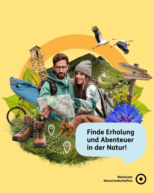 Rausgehen, durchatmen, staunen 🌲🚶‍♀️
Ob wilde Wälder, weite Wiesen oder stille Pfade – in den Nationalen Naturlandschaften findest du Natur, die dich berührt. Für kleine Auszeiten oder große Abenteuer direkt vor deiner Haustür. 

🏄 Mehr Inspiration findest du auf unserer neuen Bündniswebsite unter nationale-naturlandschaften.de oder direkt über den Link in der Bio!
 
Was uns dabei verbindet? Wir Nationale Naturlandschaften sind das Bündnis der deutschen Nationalparke, Naturparke, Biosphärenreservate und Wildnisgebiete. Gemeinsam mit den Menschen bewahren wir faszinierende Natur und gestalten die Zukunft nachhaltig. 🌿

#naturerleben #nationalenaturlandschaften #NNL #rausindienatur #naturdeutschland

📷 Fotos: Wattführung im Nationalpark Wattenmeer © Mira Hohmann/NLPV, Radtour im Naturpark Schwarzwald Mitte/Nord © VDN-Fotoportal/Reinhold Bauer, Abenteuer Eider im Naturpark Westensee © VDN-Fotoportal/Marco Bergner, Rastplatz mit Weitblick im Naturpark Stromberg-Heuchelberg © VDN-Fotoportal
