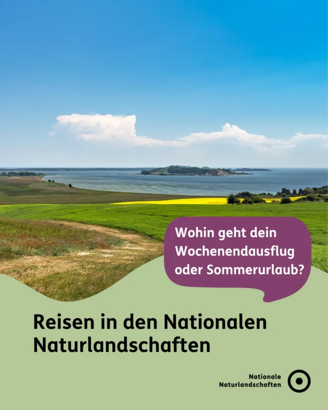 Dein nächstes Abenteuer liegt näher als du denkst 🌿

Ob Watt, wo du in die Weite blicken kannst. Ob Wald, wo neue Wildnis wächst. Ob Moor-, Heide- oder Auenlandschaften – ein Drittel Deutschlands steckt voller Schutzgebiete, in denen du die Natur entdecken kannst 🌟

104 Naturparke. 16 Nationalparke. 18 Biosphärenreservate. 3 Wildnisgebiete. Zahlreiche Reiseziele warten auf dich!

📖 Den Link zur Reisebroschüre 2026 findet ihr auf unserer Website unter Publikationen und in unserer Bio.

#nnl #nationalenaturlandschaften #naturerleben #reisen #urlaubstipps

📷 Fotos:
Bild 1: © VDN-Fotoportal/Axel Küster
Bild 2: © VDN-Fotoportal/Peter Hümmer
Bild 3: © VDN-Fotoportal/Thalhäuser