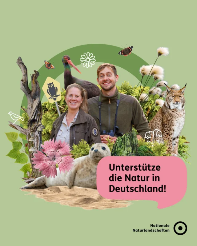 🌳🦉 Ob seltene Arten, lebendige Kulturlandschaften oder wertvolle Lebensräume – in den Nationalen Naturlandschaften wird Vielfalt aktiv geschützt und sichtbar gemacht. Gemeinsam mit starken Partnern und dir!

🦋 Entdecke, wie Engagement vor der eigenen Haustür wirkt – mehr dazu auf unserer neuen Bündniswebsite unter nationale-naturlandschaften.de oder direkt über den Link in der Bio!

Dahinter steht ein starkes Netzwerk: Die Nationalen Naturlandschaften sind das Bündnis der deutschen Nationalparke, Naturparke, Biosphärenreservate und Wildnisgebiete. Gemeinsam mit den Menschen bewahren wir faszinierende Natur und gestalten die Zukunft nachhaltig. 💚

#vielfaltbewahren #nationalenaturlandschaften #NNL #klimaschutz #naturschutz

📷 Fotos: Freiwillige im Einsatz für den Erhalt artenreicher Moorflächen im Naturpark Südschwarzwald © Sebastian Schröder-Esch, Steinkauz im Naturpark Schwarzwald MitteNord © VDN-Fotoportal/ET, Blüten in Hülle und Fülle Naturpark Schlei © VDN-Fotoportal/Ilona Kompanik, Fernsicht im Naturpark Südschwarzwald © VDN-Fotoportal/Werner Heinrichs