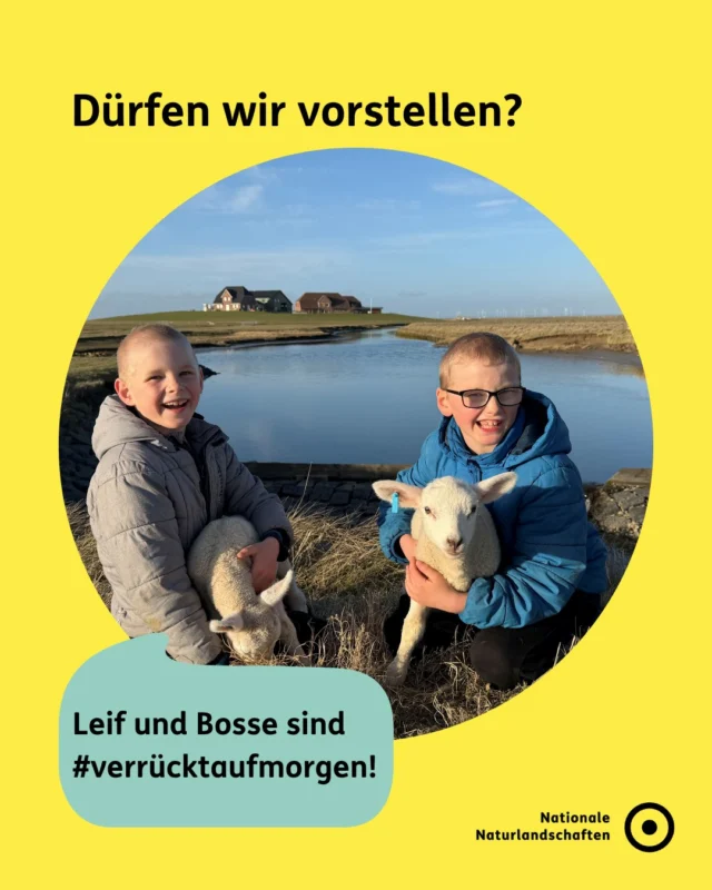 Unsere Akteur*innen in den Nationalen Naturlandschaften erzählen euch, warum sie #verrücktaufmorgen sind. 💡💚
 
🌍🌿 Bist du auch #verrücktaufmorgen? 🌿🌍

Falls du dich ehrenamtlich z. B. als Junior Ranger*in engagieren, oder als Unternehmer*in vor Ort Partner*in für Artenvielfalt werden willst, schau doch mal welches Gebiet in deiner Nähe ist: https://nationale-naturlandschaften.de/gebiete 👣🤝

#verrücktaufmorgen #biosphärenreservate #NNL #nationalenaturlandschaften #wattenmeer

Hinweis: Die Zitate & Bilder stammen aus der Kampagne “Verrückt auf Morgen” der Biosphärenreservate in Deutschland 2022.

📷 Foto: © Ruth Hartwig-Kruse