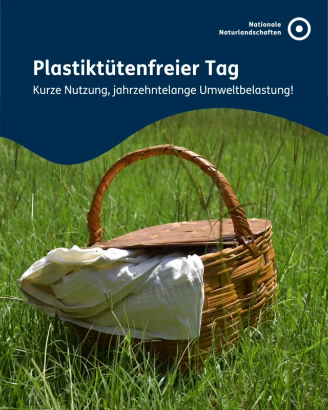 Heute ist Internationaler Plastiktütenfreier Tag. Seit 2011 macht dieser Aktionstag weltweit auf ein einfaches Missverhältnis aufmerksam: Eine Plastiktüte wird im Schnitt nur wenige Minuten benutzt, aber braucht im Meer ein bis zwei Jahrzehnte, um vollständig zu zerfallen 🌊

Seit 2022 sind die klassischen Einweg-Plastiktüten in Deutschland zwar verboten, aber die dünnen Hemdchenbeutel für Obst und Gemüse fallen nicht darunter. Allein 2023 haben wir hierzulande trotzdem noch rund 2,2 Milliarden davon verbraucht 🍏

Und global betrachtet? Jedes Jahr gelangen laut UN-Umweltprogramm bis zu 10 Millionen Tonnen Plastikmüll zusätzlich in die Ozeane. Mittlerweile treiben bis zu 18.000 Plastikteile auf jedem Quadratkilometer Meeresoberfläche. Für viele Meerestiere wird das zur tödlichen Falle 🐟

Auch in unseren Nationalen Naturlandschaften gilt eine klare Regel: Mitnehmen statt liegen lassen! Wer Abfall trotzdem zurücklässt, gefährdet Tiere und erhöht in Trockenperioden sogar die Brandgefahr!

Was du tun kannst: 
Eigene Tasche, Jutebeutel oder Korb zum Einkaufen mitnehmen Vorhandene Tüten so oft wie möglich wiederverwenden Obst & Gemüse lose kaufen, wo es möglich ist Beim Ausflug in die Natur: jeglichen Müll wieder mit nach Hause nehmen
#nnl #nationalenaturlandschaften #plastiktüte #plastikverschmutzung #plastiksparen

📷 Fotos:
Bild 1: © Pixabay / Christian Calhoun
Bild 2: © VDN-Fotoportal/Jürgen Friebel
Bild 3: © VDN-Fotoportal/Luxfox
Bild 4: © VDN-Fotoportal/Johannes Nutt
Bild 5: © VDN-Fotoportal/Ulrike Sobick
