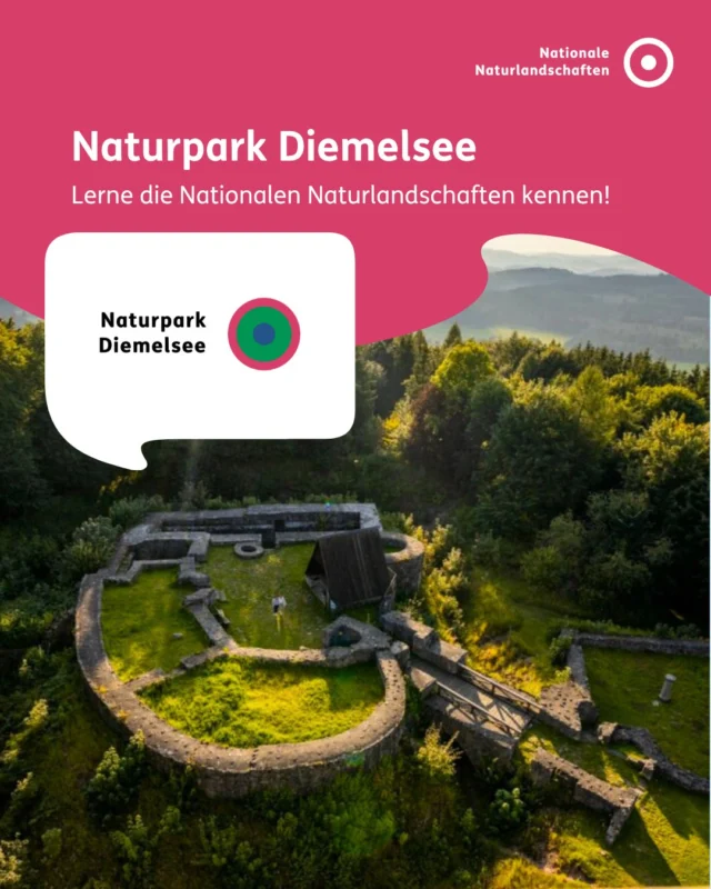 Ein See zwischen hohen Bergen ⛰️

Die höchsten Berge des Sauerlands, weite Wiesen- und Weidentäler, Wälder und blühende Hochheiden bestimmen das Bild des Naturparks Diemelsee. Kristallklare Bäche winden sich bis zum Diemelsee, einem wahren Wasserparadies. Im Naturpark erwartet Sie ein gutausgebautes Rad- und Wanderwegenetz. Bestens gepflegt und dennoch naturbelassen führen sie durch einzigartige (Kultur-)Landschaften mit schönen Aussichtspunkten und fantastischen Fernsichten 🚴‍♀️

Schöne historische Stadtkerne mit Fachwerk- und Steingiebelhäusern, Kirchen und Stadtmauern sind in den Hansestädten Korbach, Brilon und Marsberg zu bewundern 🏠

#nnl #nationalenaturlandschaften #landschaftenvollerleben #diemelsee #naturpark

📷 Fotos:
Bild 1: © Tourist-Information Korbach
Bild 2: © Anja Estepp/Naturpark Diemelsee; © Klaus Peter Kappest/Brilon Wirtschaft u. Tourismus GmbH; © Sabrinity/Naturpark Diemelsee
Bild 5: © VDN-Fotoportal/Jürgen Friebel