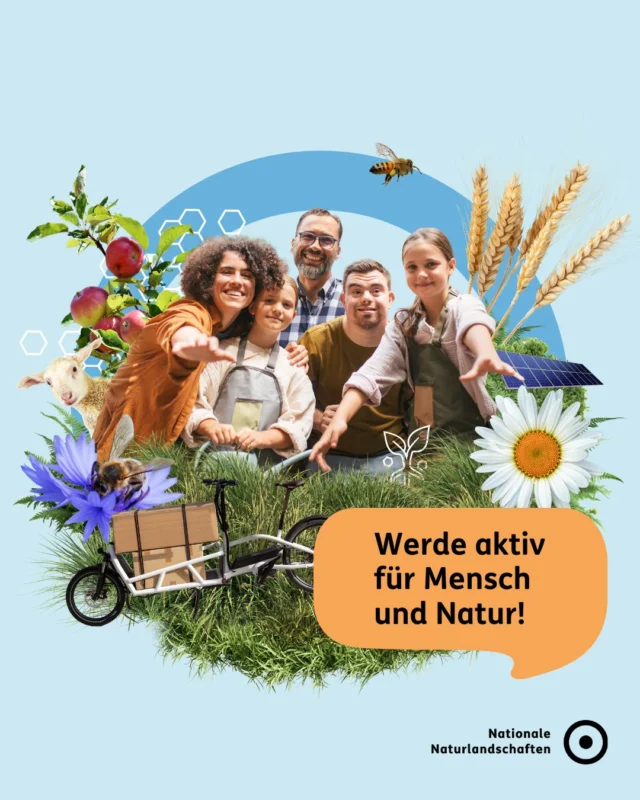 Die Zukunft beginnt jetzt 🌍🐝
In den Nationalen Naturlandschaften setzen wir uns für ein nachhaltiges Leben ein – und du kannst Teil davon sein. Ob mit Ideen, Zeit oder Unterstützung: Gemeinsam entsteht Wandel, der wirkt. 

✨ Finde deinen Weg, dich einzubringen – mehr dazu auf unserer neuen Bündniswebsite unter nationale-naturlandschaften.de oder direkt über den Link in der Bio!

Gemeinsam sind wir viele: Die Nationalen Naturlandschaften sind das Bündnis der deutschen Nationalparke, Naturparke, Biosphärenreservate und Wildnisgebiete. Gemeinsam mit den Menschen bewahren wir faszinierende Natur und gestalten die Zukunft nachhaltig. 🤝

#zukunftgestalten #nationalenaturlandschaften #NNL #nachhaltigkeit #engagement

📷 Fotos: Hochlandrind im Naturpark Schlei © VDN-Fotoportal, Bauernmarkt im Naturpark Teutoburger Wald / Eggegebirge © VDN-Fotoportal/fk, Biotoppflege an den Hängen des Südschwarzwaldes © Sebastian Schröder-Esch, Umweltpraktikantin Annalena hat Torfmoos entdeckt © Mareike Timm/NPA Vorpommern