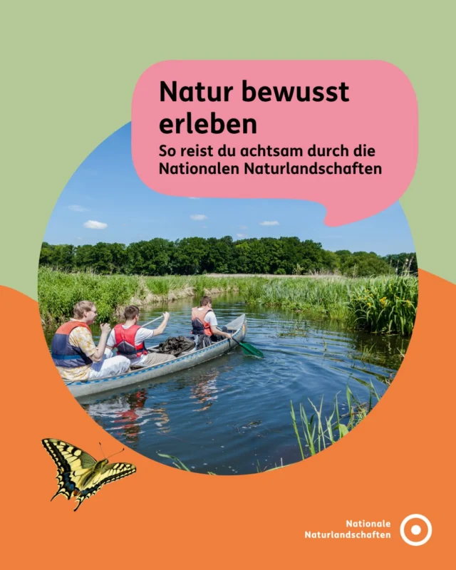 Natur bewusst erleben 🌿
Ob Urlaub, kurzer Ausflug oder kleine Auszeit zwischendurch – die Nationalen Naturlandschaften zeigen, wie vielfältig Natur direkt vor unserer Haustür sein kann 💚

Mit bewussten Entscheidungen kannst du dazu beitragen, Natur und Landschaft zu bewahren – und erlebst sie gleichzeitig intensiver:
🌲 Entdecke beeindruckende Orte in deiner Nähe
🚆 Reise entspannt mit Bahn oder Bus
🤝 Lerne die Partner der Nationalen Naturlandschaften kennen
🐾 Und sei draußen achtsam unterwegs

So wird dein Aufenthalt zu einem besonderen Erlebnis – für dich und die Natur!

👉 Erfahre, wie du deinen Ausflug gestalten kannst: auf unserer Bündnis-Website unter nationale-naturlandschaften.de/natur-erleben oder direkt über den Link in der Bio.

#nationalenaturlandschaften #nnl #naturerleben #reisen #visitgermany

📷 Fotos: Kanutour auf der Altmühl im Naturpark Altmühltal © VDN-Fotoportal/Volkmar Wagner, An den Strand im Naturpark Insel Usedom © VDN-Fotoportal/Petra Küster, Weitblick im Naturpark Nagelfluhkette © VDN-Fotoportal/Udo Stamm, Über die Elbe am Rande des Naturparks Dübener Heide © VDN-Fotoportal/Thomas Matzner, Nationalpark-Partnerschaft Harz © M. Eichhorn (Jenko Sternberg Design), Köstlichkeiten im Naturpark Stromberg-Heuchelberg © VDN-Fotoportal/Matze, Destinature Dorf in der Niedersächsischen Elbtalaue © Stephanie Schubert/NNL e. V., Auf dem H-Weg im Natur-Geopark TERRA.vita © VDN-Fotoportal/Dieter Lorenz, Gipfel der Abtsrodaer Kuppe im Naturpark Hessische Rhön © VDN-Fotoportal/Miklos Szorenyi