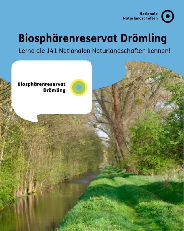 Land der tausend Gräben 🏞️

Der Drömling (@biosphaerenreservat_droemling) ist eine ökologisch und landschaftsästhetisch besonders wertvolle, historisch gewachsene Kulturlandschaft mit Moorcharakter an der Grenze zwischen den Bundesländern Niedersachsen und Sachsen-Anhalt im Norden Deutschlands. Seit über 200 Jahren stellt der Drömling eine weitgehend vom Menschen gestaltete Kulturlandschaft dar ✨

Im Drömling erlebt man eine reizvolle naturnahe Kulturlandschaft mit einem stetigen Wechsel von Gräben, Äckern, Wiesen, unzähligen Baumreihen und Hecken. Wegen der 2.200 Kilometer Wasserläufe im Gebiet wird der Drömling auch „Land der tausend Gräben“ genannt 💧

#nnl #nationalenaturlandschaften #verrücktaufmorgen #naturerleben #drömling 

📷 Fotos:
Bild 1: © Naturpark Drömling
Bild 2: © VDN-Fotoportal/Matthias Dumjahn; © Naturpark Drömling
Bild 5: © Naturpark Drömling