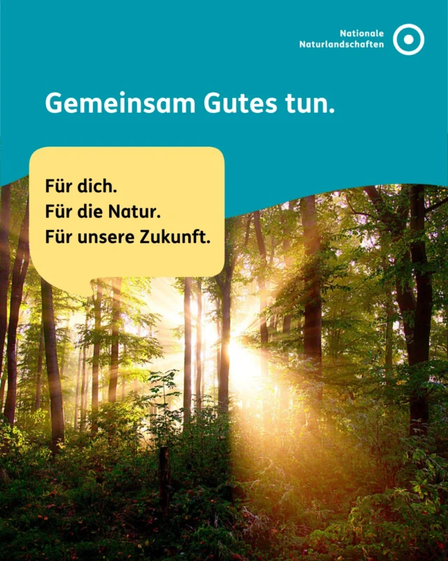 🌿 Deine Spende macht den Unterschied. 🌿
Vom Wattenmeer bis zum Watzmann: Die Nationalen Naturlandschaften stehen für die Schönheit und Vielfalt der Natur in Deutschland. Gemeinsam setzen sich 16 Nationalparke, 104 Naturparke, 18 Biosphärenreservate und 4 Wildnisgebiete auf rund einem Drittel der Landesfläche für den Schutz und die nachhaltige Entwicklung unserer Natur- und Kulturlandschaften ein.

Mit deiner Spende unterstützt du das einzigartige Bündnis – vor Ort und deutschlandweit.
💚 Du ermöglichst Natur- und Klimaschutzprojekte.
💚 Du schützt Lebensräume und Artenvielfalt.
💚 Du förderst Umweltbildung für alle Generationen.
💚 Du stärkst Programme wie Junior Ranger, Naturparkschulen und Naturpark-Kitas.
💚 Du unterstützt das Engagement von Tausenden Freiwilligen für die Natur.

Schon heute begeistern sich jedes Jahr rund 2.500 Kinder und Jugendliche als Junior Ranger für den Naturschutz. Mehr als 450 Schulen, 250 Kitas und 4.000 Freiwillige engagieren sich bundesweit für Mensch, Natur und Klima.

Gemeinsam können wir noch mehr bewegen.
🌱 Für vielfältige Natur.
🌍 Für wirksamen Klimaschutz.
🤝 Für lebendige Regionen.
🌿 Für unsere Zukunft.

Erfahre mehr über unsere Arbeit und unterstütze uns auf nationale-naturlandschafen.de/spenden oder direkt über den Link in der Bio! ✨

#zukunftgestalten #nationalenaturlandschaften #NNL #spende #engagement

📷 Fotos: Sonnenstrahlen im Naturpark Schwäbisch-Fränkischer Wald © VDN-Fotoportal/Gerhard Stier, Umweltbildung am Naturpark-Zentrum Gymnicher Mühle © VDN e. V., Gesunde Ernährung auf dem Almhof kennenlernen © Kaufland/Carolin Lauer, Junior Ranger*innen auf Entdeckungstour © Arnold Morascher, Biotoppflege an den Hängen des Südschwarzwaldes © Sebastian Schröder-Esch, Schlafmohn-Blüte im Geo-Naturpark Frau-Holle-Land © VDN-Fotoportal/Udo Seifert