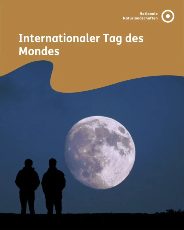 🌕 Internationaler Tag des Mondes 

Heute vor über 50 Jahren betrat der Mensch zum ersten Mal den Mond. Ein Moment, der uns bis heute daran erinnert, wie klein wir auf unserem blauen Planeten sind 🌍

Auch bei uns in den Nationalen Naturlandschaften lohnt sich der Blick nach oben: Fernab von Lichtverschmutzung zeigen sich in vielen unserer Gebiete der Mond in voller Pracht. 

Einige unserer Gebiete sind sogar als Sternenparks ausgezeichnet, in denen der Nachthimmel besonders dunkel und klar ist:

🌟 Sternenpark Nationalpark Eifel (@nationalpark_eifel)
🌟 Sternenpark Rhön (@verein_sternenpark_rhoen)
🌟 Natur- und Sternenpark Westhavelland
🌟 Sternenpark Naturpark Nossentiner/Schwinzer Heide (@waldheideseenland)

🔭 Wart ihr schon mal in einem unserer Sternenparke unterwegs, um den Mond oder die Milchstraße zu beobachten? 

Übrigens: Der nächste Vollmond erscheint am 29. Juli 2026. Ein perfekter Anlass, um den Nachthimmel einmal ganz bewusst zu beobachten!

#nnl #nationalenaturlandschaften #naturerleben #sternenpark #vollmond

📷 Fotos:
Bild 1: © VDN-Fotoportal/siggi
Bild 2: ©VDN-Fotoportal/Cara Schweiger
Bild 4: © VDN-Fotoportal/Axel Küster
Bild 6: © VDN-Fotoportal/wimi
Bild 7: © VDN-Fotoportal/Sandra