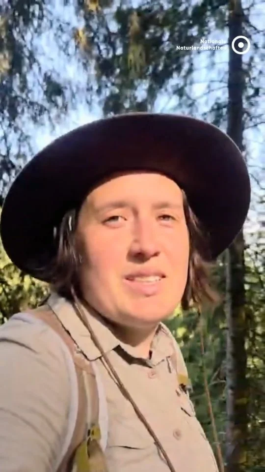 🌲 Grüße aus dem Nationalpark Schwarzwald! Rangerin Milena Kreiling macht mit beim World Ranger Day und sendet euch einen persönlichen Gruß. 👋🌿
 
📅 Jedes Jahr am 31. Juli macht der World Ranger Day auf die wichtige Arbeit von Ranger*innen aufmerksam. Weltweit engagieren sie sich für den Schutz von Natur, Artenvielfalt und wertvollen Lebensräumen. 🌍🦋
 
🎉 Auch in Deutschland wird der World Ranger Day vielerorts mit spannenden Aktionen begleitet. In zahlreichen Schutzgebieten erwarten euch Führungen, Mitmachangebote und weitere Veranstaltungen. 🥾🌳
 
💚 Danke an alle Ranger*innen, die sich Tag für Tag mit Leidenschaft für Natur und Mensch einsetzen! 🙏🌿
 
#nationalenaturlandschaften #nnl #worldrangerday #IStandWithRangers #umweltverstehen
@nationalparkschwarzwald

🎬Video: Milena Kreiling © Nationalpark Schwarzwald