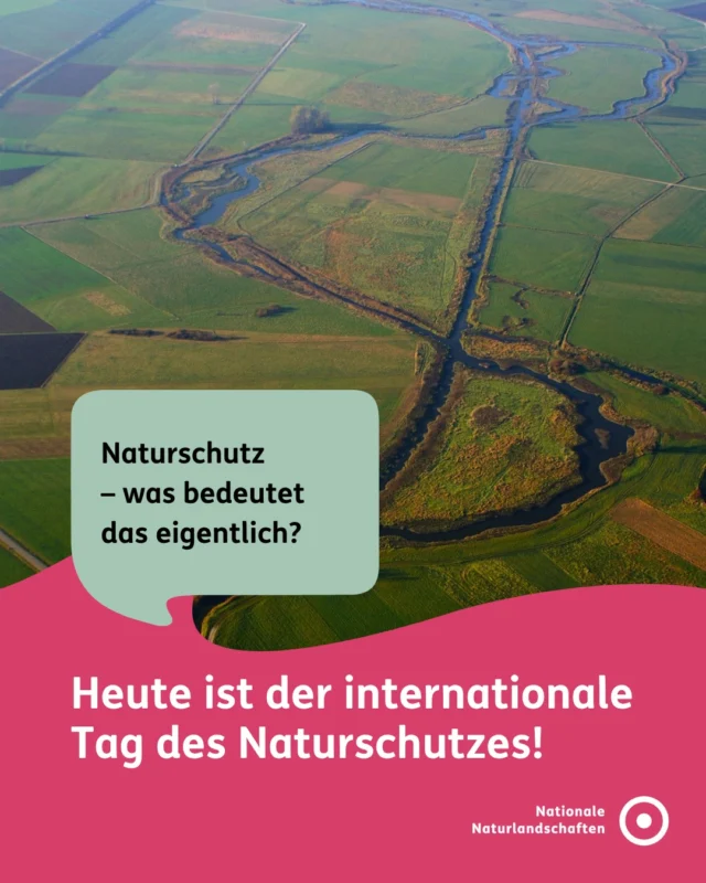 Naturschutz bedeutet, die Biodiversität zu erhalten. 🌿
Also die Vielfalt von Arten, Ökosystemen, genetischer Vielfalt und Lebensräumen – und damit unsere eigene Lebensgrundlage.

🌳 In den Nationalen Naturlandschaften setzen wir uns genau dafür ein: Wir bewahren wertvolle Lebensräume und schützen Natur dort, wo sie besonders vielfältig und schützenswert ist.

👉 Entdecke unsere Schutzprojekte auf unserer Bündnis‑Website unter nationale-naturlandschaften.de und direkt über den Link in der Bio – und unterstütze sie!

Für dich. Für die Natur. Für unsere Zukunft. 💚✨

#nationalenaturlandschaften #NNL #vielfaltbewahren #zukunftgestalten #naturschutz

📷 Fotos: Altmühlrenaturierung im Naturpark Altmühltal © VDN-Fotoportal/Peter Hümmer, Wollgras im Moor im Deutsch-Belgischen Naturpark Hohes Venn - Eifel © VDN-Fotoportal/Christel Baude, Steinkauz im Naturpark Schwarzwald Mitte/Nord © VDN-Fotoportal/ET, Renaturierung Kleine Elster im Naturpark Niederlausitzer Heidelandschaft © VDN-Fotoportal/pit, Flusslandschaft mit Aue © Jörg Liesen, Blüten in Hülle und Fülle im Naturpark Schlei © VDN-Fotoportal/Ilona Kompanik, Flatterhaft im Naturpark Westensee © VDN-Fotoportal/Zumsel