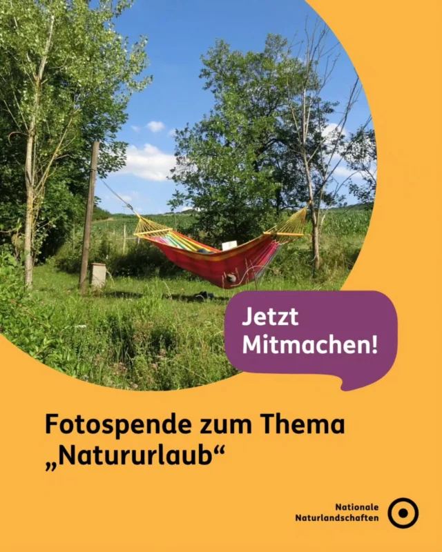 Ob kurzer Wochenendausflug oder lang ersehnter Urlaub - zeig' uns, wie du in den Nationalen Naturlandschaften entspannst und neue Energie tankst! 🍃

Ab jetzt kannst du deine Fotos mit dem Thema "Natururlaub" mit uns teilen und an unserer Fotospende teilnehmen. 📸

Wie funktioniert's?
1. Fülle das Formular auf unserer Website aus (Link in der Bio).
2. Lade dein Foto hoch.
3. Lass deine Perspektive sprechen – für die Nationalen Naturlandschaften.

Wir freuen uns auf eure Einsendungen! ✉️

#nnl #nationalenaturlandschaften #naturerleben #fotospende #naturfotos

📷 Fotos:
Bild 1: © VDN-Fotoportal/Martin Kather
Bild 2: © VDN-Fotoportal/Axel Küster
Bild 3: © VDN-Fotoportal/pit