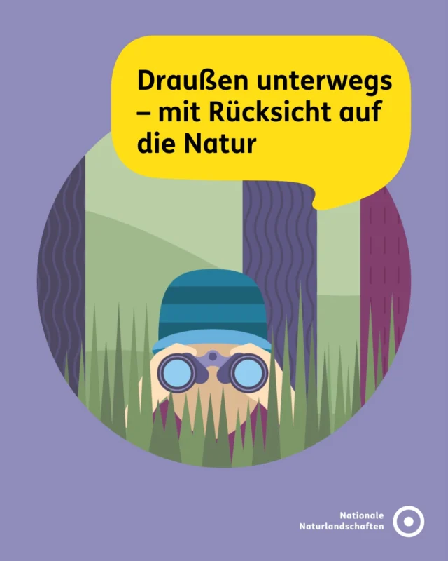 Schutzgebiete sind Orte voller Leben, Ruhe und natürlicher Schönheit. In ihnen finden seltene Tiere und Pflanzen ein Zuhause 🐾🌸

Damit das so bleibt, beachte bei deinem Ausflug ein paar einfache Regeln – für ein tolles und naturverträgliches Erlebnis 💚
🔇 Ruhig und rücksichtsvoll unterwegs
🚶‍♀️ Auf den Wegen bleiben
🌼 Natur bleibt in der Natur
🧴 Hinterlasse keine Spuren
🔥 Grill und Feuer bleiben aus
⛺ Übernachte nur auf ausgewiesenen Plätzen
🐕 Hunde laufen an der Leine
🌊 Halte Abstand vom Ufer
🚣‍♀️ Wassersport mit Köpfchen
 
ℹ️ In den Schutzgebieten findest du Infos zu lokalen Besonderheiten und Regeln. Wenn du sie beachtest, leistest du einen wichtigen Beitrag zum Naturschutz. 🌿✨
 
#nationalenaturlandschaften #NNL #naturerleben #vielfaltbewahren #naturschutz
 
Illustrationen © Sophia M. Phildius/Nationale Naturlandschaften @sophia.phildius