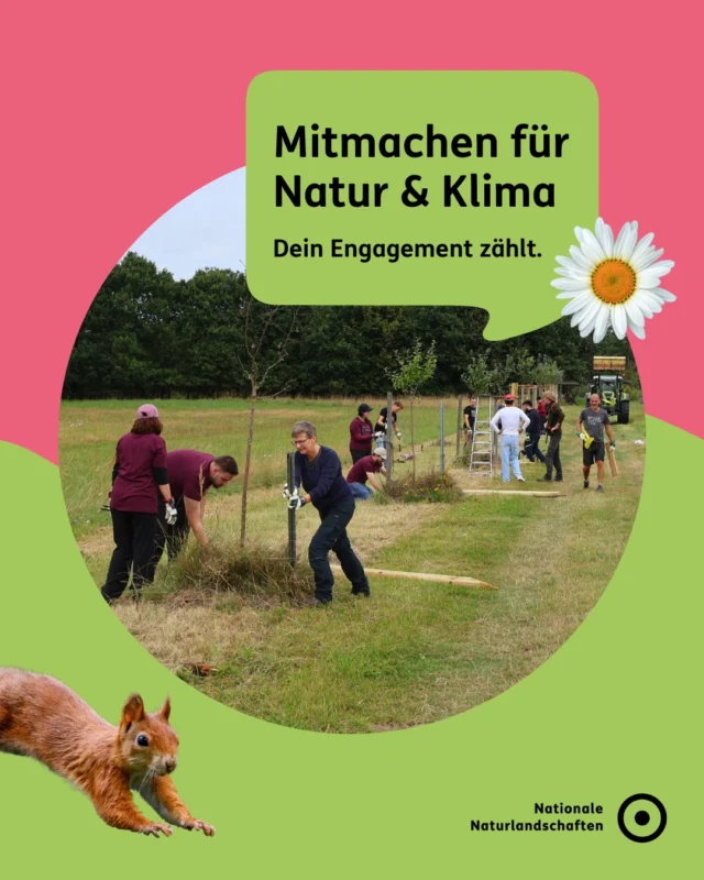 Mitmachen für Natur & Klima – dein Engagement zählt. 💚

Ob Arten- und Biotopschutz, Naturbeobachtung, Umweltbildung, Öffentlichkeitsarbeit oder Besucherservice: In den Nationalen Naturlandschaften gibt es viele Möglichkeiten, sich für Mensch und Natur einzusetzen 🌿

Bundesweit engagieren sich jedes Jahr tausende Menschen für den Schutz wertvoller Landschaften und ihrer Artenvielfalt. Ihr Einsatz macht den Unterschied 🙌

Die Woche des bürgerschaftlichen Engagements vom 11. bis 20. September stellt den Einsatz engagierter Menschen in den Mittelpunkt. Mit zahlreichen Mitmach-Aktionen laden euch auch die Nationalen Naturlandschaften dazu ein, die Vielfalt des Engagements zu entdecken 🌍

Hier bei uns Zukunft gestalten heißt: gemeinsam Verantwortung für Mensch und Natur zu übernehmen 🤝

👉 Werde aktiv für Mensch und Natur!

#nationalenaturlandschaften #NNL #zukunftgestalten #vielfaltbewahren #umweltverstehen

Fotos: Als Unternehmen für die NNL einsetzen © UNESCO-Biosphärenreservat Drömling, Almschwenden in den Berchtesgadener Alpen © Biosphärenreservat Berchtesgadener Land @biosphaerenregion_bgl
 , Knoblauchkröte © Lara Weinmann, Vogelmonitoring im Naturpark Lüneburger Heide © VDN-Fotoportal/Cara Schweiger, Gemeinsames Streichen der Hütte © Naturpark Taunus, Exkursion im Naturpark Oberpfälzer Wald © VDN-Fotoportal/Brezina Peter, Im Wald gibt es viel zu entdecken © Heike Gögelein, Corporate Volunteering-Projekt als gemeinsames Erlebnis © BDBOS