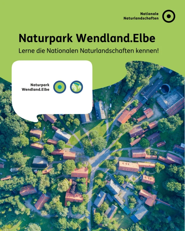 Typisch für den Naturpark Wendland.Elbe (@naturpark.wendland.elbe) sind die einzigartigen Rundlingsdörfer, eine historische Siedlungsform aus dem 12. Jahrhundert. Die vielen Dörfer, die oft dicht beieinanderliegen, prägen eine außergewöhnliche Kultur- und Siedlungslandschaft. Gemeinsam mit dem vielfältigen kulturellen Angebot der Region verleihen sie dem Wendland seinen ganz besonderen Charme und eine unverwechselbare Atmosphäre. 🏘️

Eiszeitlich bedingt ist auch die Landschaft ausgesprochen abwechslungsreich. Feucht- und Trockenlebensräume gehen eine enge Nachbarschaft ein und innerhalb weniger Kilometer kann sich das Landschaftsbild vollständig ändern. 🏞️

#nnl #nationalenaturlandschaften #naturpark #wendlandelbe #NaturparkWendlandElbe

📷 Fotos:
Bild 1: © Skyimage21
Bild 2: Pferd © Paco Fielder; Findlingspark © Markus Tiemann; Heide mit Sternenhimmel © Helmut Schnieder
Bild 6: Elbe © Paco Fiedler