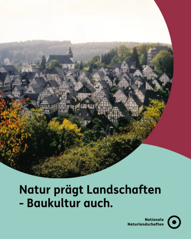 Wenn wir an Landschaften denken, haben wir oft zuerst die Natur vor Augen. Doch viele Landschaften tragen auch die Handschrift der Menschen, die sie über Generationen hinweg geprägt und gestaltet haben.

🏘️ Baukultur zeigt sich in Dörfern, Wegen, Plätzen, regionalen Bauweisen und der Art, wie sich Siedlungen in eine Landschaft einfügen. Sie prägt, wie wir Räume wahrnehmen und woran wir sie wiedererkennen. 🛠️

🏡 Viele dieser Regionen sind sogenannte Kulturlandschaften: Landschaften, die durch das Zusammenspiel von Natur und menschlicher Nutzung über lange Zeit gewachsen sind. 🌳

🌿 Auch in den Nationalen Naturlandschaften wollen wir beides bewahren - die natürliche und kulturelle Vielfalt unserer Regionen. Denn gemeinsam machen sie Landschaften einzigartig. ✨ 

💬 Welche Region fällt dir sofort ein, wenn du an regionale Baukultur denkst? 

#nationalenaturlandschaften #NNL #baukultur #vielfaltbewahren #regionalität

📸 Fotos: Freudenberg im Naturpark Sauerland Rothaargebirge © VDN-Fotoportal/J. Kühnemund, Weinberg im Naturpark Saale-Unstrut-Triasland © VDN e.V./Jörg Liesen, Leuchtturm auf der Insel Amrum © NNL e.V./Stephanie Schubert, Brücke im Naturpark Altmühtal © VDN-Fotoportal/Alois Haunschild, 400 Jahre altes Schwarzwaldhaus im Naturpark Südschwarzwald © VDN e.V./Jörg Liesen, Rundlingsdorf im Naturpark Wendland.Elbe © VDN-Fotoportal/Werner Voss, Schieferfassade im Naturpark Zittauer Gebirge © VDN-Fotoportal/Gerhard Schlender, Reetdachdecker im Naturpark Sternberger Seenland © VDN-Fotoportal/Renate Reinbothe, Fachwerkstrasse im Naturpark Harz © VDN-Fotoportal/Markus Paul, Viadukt im Naturpark Saar-Hunsrück © VDN-Fotoportal/Jan Wendling