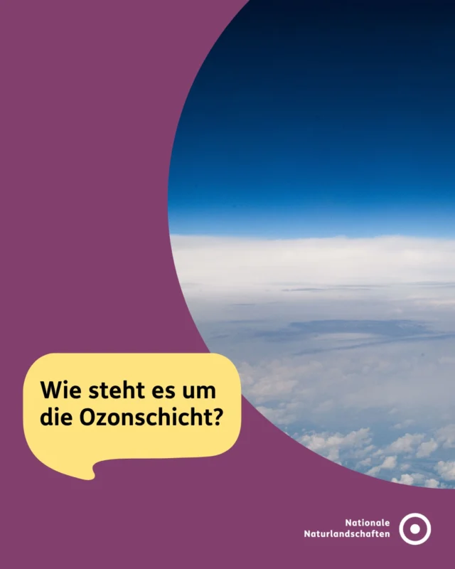 Heute ist Internationaler Tag zur Erhaltung der Ozonschicht. 🌍

Die Ozonschicht schützt alles Leben auf der Erde vor einem großen Teil der schädlichen UV-Strahlung der Sonne. ☀️

Lange Zeit schien dieser Schutz jedoch in Gefahr: Durch langlebige, vom Menschen freigesetzte Chemikalien wie FCKW entstand insbesondere über der Antarktis das sogenannte Ozonloch.

Im Montrealer Protokoll von 1987 haben sich 24 Länder auf ein Verbot von Stoffen, die unsere Ozonschicht zerstören, geeinigt. Seitdem haben sich die Belastungen der Ozonschicht deutlich verringert und sie befindet sich auf dem Weg der Erholung. 🌱

Das Ozonloch ist aber noch nicht verschwunden. Es bildet sich jedes Jahr im südlichen Frühling neu und wird sich laut NASA-Prognosen erst um die Mitte des Jahrhunderts vollständig erholen. Das Montreal-Protokoll zeigt: Wenn Wissenschaft, Politik und Wirtschaft an einem Strang ziehen, lässt sich globaler Umweltschaden tatsächlich umkehren!

#nnl #nationalenaturlandschaften #ozonloch #ozonschicht #vielfaltbewahren

📷 Fotos:
Bild 1 und 2: © Pexels/Darius Bright
Bild 3: © VDN-Fotoportal/BT
Bild 4: © Erstellt mithilfe von KI; Quelle: NASA Ozone Watch
Bild 5: © VDN-Fotoportal/Udo Stamm
Bild 6: © VDN-Fotoportal/Dr.Ralph Müller

Quelle: Greenpeace; Max-Planck-Gesellschaft