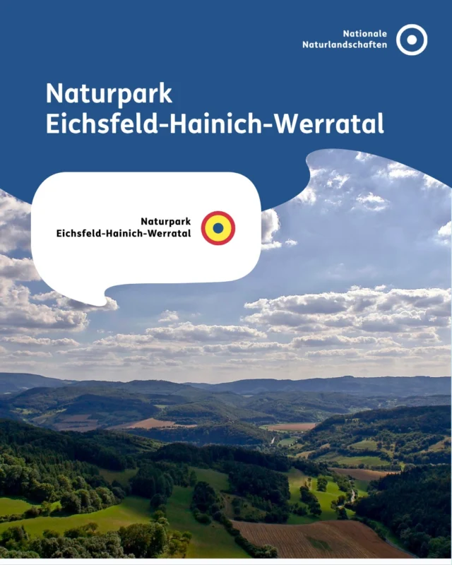 Durch den Naturpark Eichsfeld-Hainich-Werratal (@naturpark_ehw) schlängelt sich im Südeichsfeld eine der imposantesten Eisenbahnlinien Deutschlands. In den romantischen Bergen und Tälern des Naturparks durchfährt man mit der Bahn sechs Tunnel und überquert vier Viadukte. 🛤️

Plateaulagen mit tiefeingeschnittenen Tälern prägen das Gebiet Obereichsfeld. Das fast geschlossene Waldgebiet Hainich ist überwiegend von naturnahen Kalk-Buchenwäldern bedeckt. Und das tief eingeschnittene Tal der Werra prägt den Landschaftsraum Werratal. 🌳

#nnl #nationalenaturlandschaften #eichsfeld #hainich #werratal

📷 Fotos:
Bild 1: © VDN-Fotoportal/Mariusz Grabowski
Bild 2: © VDN-Fotoportal/Regina Kallert; © VDN-Fotoportal/Rainer Hunold; © VDN-Fotoportal/Renate Claussen
Bild 5: ©VDN-Fotoportal/Rainer Hunold