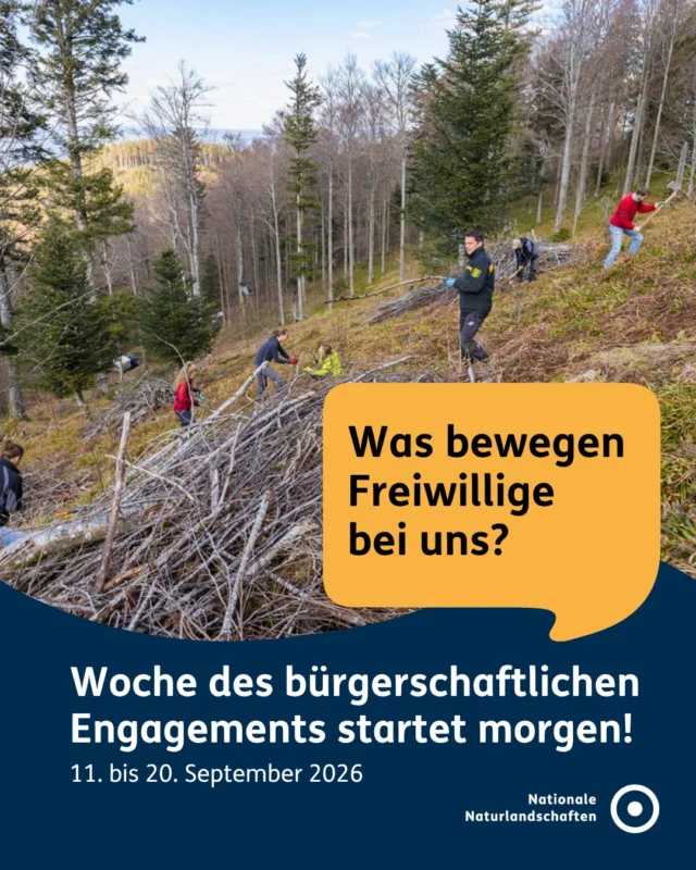 🌱🤝 Heute startet die bundesweite Woche des bürgerschaftlichen Engagements unter dem Motto „Miteinander Zukunft gestalten“.

Die Kampagne macht sichtbar, wie wichtig freiwilliges Engagement für unsere Gesellschaft ist und wie Menschen durch Zusammenarbeit positive Veränderungen anstoßen können.

Gerade in einer Zeit, in der sich unsere Gesellschaft verändert, gewinnen Gemeinschaft, Zusammenhalt und gegenseitiges Vertrauen an Bedeutung. 💚 Engagement schafft Orte der Begegnung, stärkt demokratische Werte und bringt Menschen mit unterschiedlichen Perspektiven zusammen. Das macht es zu einem wichtigen Motor für eine lebenswerte Zukunft.

Zukunft gestalten heißt auch, Verantwortung für die Natur und die kommenden Generationen zu übernehmen. In den Nationalen Naturlandschaften wird diese Idee jeden Tag gelebt. 🌿 Tausende Ehrenamtliche engagieren sich für Natur, Klima, Artenvielfalt und Umweltbildung. Sie pflegen Biotope, begleiten Besucher*innen in die Natur, unterstützen Bildungsangebote oder bringen ihre Ideen für nachhaltige Regionen ein.

📅 Im Rahmen der Aktionswoche laden viele Schutzgebiete zu Veranstaltungen und Mitmachaktionen ein.

✨ Mach mit und entdecke, wie Engagement Natur schützt und Menschen verbindet. Die Veranstaltungen findest du über den Link in der Bio und unter nationale-naturlandschaften.de/wdbe-2026.

💚 Für dich. Für die Natur. Für unsere Zukunft.

#nationalenaturlandschaften #NNL #zukunftgestalten #engagementmachtstark #vielfaltbewahren
@engagementmachtstark

📸 Fotos: © Sebastian Schröder-Esch, © Cornelia Otto-Albers, © Mirko Runge, © Lorenz Richter, © Bundesregierung/Steffen Kugler, © Sergej Musolf, © Cornelia Otto-Albers