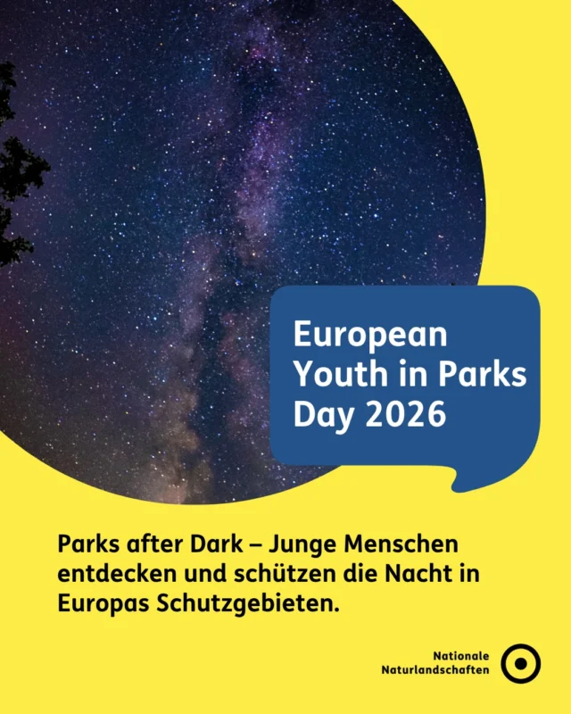 🤝 Heute am European Youth in Parks Day feiern wir die jungen Menschen, die Europas Schutzgebiete mitgestalten, mit Leben füllen und schützen. 🌱

✨ Das Motto des diesjährigen European Youth in Parks Day lautet „Parks after Dark!“. Im Mittelpunkt stehen die faszinierenden Lebenswelten der Nacht, der Schutz der Dunkelheit vor Lichtverschmutzung und junge Menschen, die Natur aus neuen Perspektiven entdecken. 🦉

🌟 Ob bei Sternenwanderungen, im Fledermausschutz oder als Junior Ranger: Junge Engagierte bringen Ideen und Tatkraft ein. Tag und Nacht. 💚

🌿 Du möchtest auch aktiv werden? Dann schau auf unserer Website, welche Nationale Naturlandschaft in deiner Nähe liegt und welche Möglichkeiten es dort gibt, dich einzubringen. 🌍

💬 Mach mit bei unserer „Parks after Dark“-Micro-Challenge!
Teile die Bingo-Slide aus diesem Beitrag in deiner Story, markiere die Aufgaben, die du geschafft hast, und verlinke uns. Vielleicht motivierst du auch Freund*innen oder deine Jugendgruppe zum Mitmachen!

#nationalenaturlandschaften #NNL #YouthInParksDay #ParksAfterDark #umweltverstehen
@europarc.youth @jugendnetzwerk_biosphaere

📷 Fotos: Milchstraße im Naturpark Lahn-Dill-Bergland © VDN-Fotoportal/Volker Benner, Gemeinsam unterwegs im Watt des Biosphärenreservats Niedersächsisches Wattenmeer © Jugendnetzwerk Biosphäre e.V./Amelie Mark, Gemeinsames Arbeiten im Biosphärenreservat Niedersächsisches Wattenmeer © Jugendnetzwerk Biosphäre e.V./Rachel O’Shea, Gemeinsame Erlebnisse im Biosphärenreservat Schorfheide-Chorin © Jugendnetzwerk Biosphäre e.V./Rachel O’Shea, Portrait Yannick © Yannick Mehne, Portrait Rachel © Rachel O’Shea, Jäger der Nacht im Naturpark Habichtswald © VDN-Fotoportal/M. Hornschuh