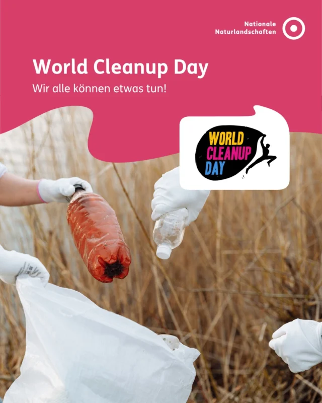 Heute ist World Cleanup Day (@worldcleanupday_germany) – und unsere Nationalparke, Naturparke, Biosphärenreservate und Wildnisgebiete sagen Danke an alle, die mit anpacken! 🌿🗑️ 

Jedes Stück Müll, das wir gemeinsam aufsammeln, schützt Lebensräume für Tiere und Pflanzen! 🐦‍⬛

Finde die nächste Müllsammelaktion in deiner Nähe über den Link in unserer Story.
Mach' mit und zeige deine Momente mit #WorldCleanupDay – wir freuen uns auf deine Bilder! 

#nnl #nationalenaturlandschaften #worldcleanupday #cleanup #umweltverstehen

📷 Fotos:
Bild 1: © Pexels/Thirdman
Bild 2: © Pixabay /Filmbetrachter
Bild 3: © Pexels/Lara Jameson