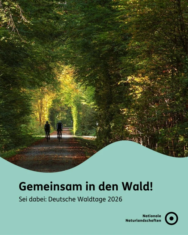 Zeit, den Wald zu feiern, der uns so viel gibt: frische Luft, Lebensraum für unzählige Arten und einen ruhigen Ort zum Entspannen. 🍃 

Von 18. bis 20. September laden die Deutschen Waldtage bundesweit dazu ein, den Wald hautnah zu erleben – mit Führungen, Aktionen und Infos rund um nachhaltige Forstwirtschaft und Waldschutz!

Für Alle ist etwas im Programm dabei.🌿 
Alle Termine und Veranstaltungen in deiner Nähe findest du auf der Website der Deutschen Waldtage.

Welcher Wald ist dein Lieblingsort? Schreib's in die Kommentare! 👇

#nnl #nationalenaturlandschaften #deutschewaldtage #wald #naturerleben

📷 Fotos:
Bild 1: © VDN-Fotoportal/Ulrike Sobick
Bild 2 und 3: © VDN-Fotoportal/Brunhild Grommes; © VDN-Fotoportal/Cornelia Kammann; © VDN-Fotoportal/Jörg Willems
Bild 4: © VDN-Fotoportal/Volkmar Brockhaus

Quelle: Deutsche Waldtage; Stiftung Unternehmen Wald