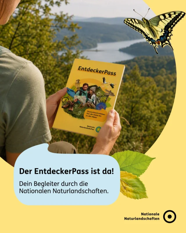 🎉 Endlich ist er da: der EntdeckerPass! 🎉
Zum ersten Mal stellen sich alle 142 Nationalen Naturlandschaften Deutschlands in einem Pass vor. Lass dich von Nationalparken, Naturparken, Biosphärenreservaten und Wildnisgebieten inspirieren und entdecke neue Ziele für Ausflüge, Wochenendtrips und Reisen in ganz Deutschland. 🌿

📍 Entdecke neue Lieblingsorte.
 📖 Lerne die Besonderheiten der Schutzgebiete kennen.
 🌿 Sammle Stempel und Erinnerungen auf deinen Touren.
 🎁 Melde dich auf unsere Webseite an und sichere dir die Chance auf tolle Preise bei der jährlichen Verlosung.

Und für alle mit ganz besonderem Entdeckergeist: Wer es schafft, alle Stempel im Pass zu sammeln, darf sich auf eine besondere Überraschung freuen. 💚

💬 In welcher Nationale Naturlandschaft sammelst  du deinen ersten Stempel?

👉 Alle Informationen zur Bestellung, Teilnahme und den Gewinnmöglichkeiten findest du über den Link in unserer Bio und unter nationale-naturlandschaften.de/natur-erleben/entdeckerpass!

#nationalenaturlandschaften #NNL #naturerleben #zukunftgestalten #vielfaltbewahren
@nationalenaturlandschaften

📷 Fotos: NNL-Entdeckerpass (KI-generiert), Sprung in neue Abenteuer © ALEX KIJAK, Eissegeln auf dem Dümmer im Naturpark Dümmer © VDN-Fotoportal/Tanja Riedel, Auf dem Kletterfels im Naturpark Pfälzerwald © VDN-Fotoportal/Albert, Kanutour am Brombachsee im Naturpark Altmühltal © VDN-Fotoportal/Hans Fabian, Collage “Natur erleben”, Mit dem Fahrrad durch den Deutsch-Belgischen Naturpark Hohes Venn - Eifel © VDN-Fotoportal/Raimund Knauf, NNL-Entdeckerpass im Gras (KI-generiert)