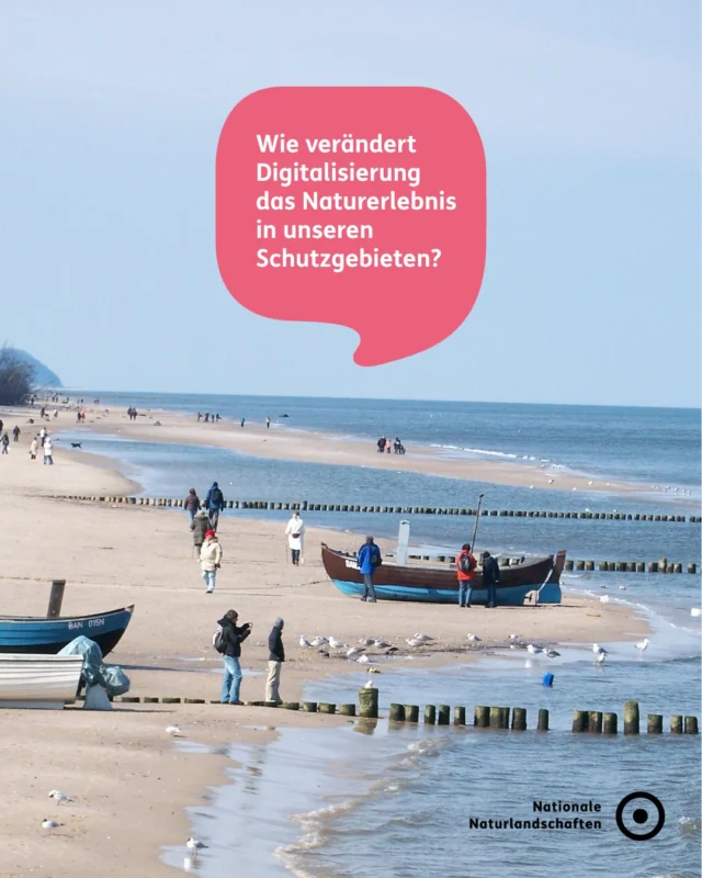 Heute feiern wir den Welttourismustag! Das diesjährige Motto lautet „Digital Agenda and Artificial Intelligence to Redesign Tourism". Die Digitalisierung und Künstliche Intelligenz verändern, wie wir reisen und Natur erleben. 📱

Auch in den Nationalen Naturlandschaften spielt das eine Rolle: von digitalen Besucherlenkungssystemen über Apps zur Naturbeobachtung bis hin zu smarten Lösungen, die empfindliche Ökosysteme schützen. Außerdem eröffnen sie neue Wege, den Menschen die Schönheit unserer Schutzgebiete näherbringen. 🌲🦌

Doch bei aller Technik bleibt eines unverändert: Nachhaltiger Tourismus lebt vom respektvollen Umgang mit der Natur. 💚

#nnl #nationalenaturlandschaften #worldtourismday #tourismus #naturerleben

📷 Fotos:
Bild 1: © VDN-Fotoportal/Monique Pohl
Bild 2: © Pexels/Jenny Tran
Bild 3: © VDN-Fotoportal/Martin Kather