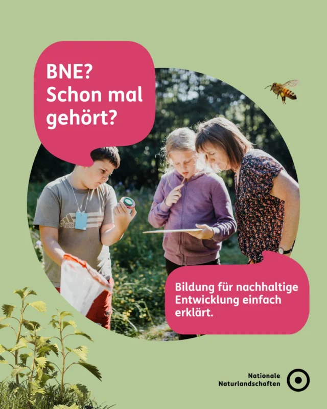 🌱 Was hat dein Einkauf mit Artenvielfalt zu tun? Oder dein Weg zur Arbeit mit dem Klima? 🌍

Mit solchen Fragen beschäftigt sich die Bildung für nachhaltige Entwicklung (BNE) 📚

BNE bedeutet, Zusammenhänge zu verstehen: zwischen unserem Alltag und den großen Herausforderungen unserer Zeit. Wie wirken sich unsere Entscheidungen auf Natur, Klima und andere Menschen aus? Wie können wir dazu beitragen, dass auch zukünftige Generationen gut leben können? 👨‍👩‍👧‍👦

Dabei geht es nicht darum, Menschen vorzuschreiben, was sie tun sollen. BNE befähigt dazu, sich eine eigene Meinung zu bilden, unterschiedliche Perspektiven einzubeziehen und fundierte Entscheidungen zu treffen. Sie fördert die Fähigkeit, mit komplexen Themen umzugehen, Zukunft mitzugestalten und Verantwortung zu übernehmen.

Ob bei einer Rangerführung, einem Schulprojekt, einer Exkursion oder einem Mitmachangebot: Die Nationalen Naturlandschaften schaffen Lernorte, an denen Wissen, Naturerlebnis und gesellschaftliche Fragen zusammenkommen.

Die Bildungsarbeit der Nationalen Naturlandschaften ist ein wichtiger Baustein für Bildung für nachhaltige Entwicklung in Deutschland. Sie leistet einen Beitrag zum Erhalt der biologischen Vielfalt, zur Umsetzung der Nachhaltigkeitsziele der Vereinten Nationen und zu einer Gesellschaft, die Zukunft aktiv und verantwortungsvoll gestaltet.

🌿 Kurz gesagt: BNE hilft uns zu verstehen, wie die Welt zusammenhängt und wie wir selbst Teil einer nachhaltigen Zukunft sein können ✨

Für dich. Für die Natur. Für unsere Zukunft. 💚

#nationalenaturlandschaften #NNL #umweltverstehen #zukunftgestalten #bne

📷 Fotos: Naturaktionstag bei der Arche Noah © VDN e.V./Caroline Lauer, Naturaktionstag auf dem Almhof © VDN e.V./Caroline Lauer, Gemeinsam den Baum umarmen © Jörg Liesen, Naturaktionstag bei der Arche Noah © VDN e.V./Caroline Lauer, Die Kita Bühren pflanzt einen Wildapfelbaum im Naturpark Münden © VDN-Fotoportal/bbiel, Umweltaktionstag © VDN e.V./Caroline Lauer, Umweltaktionstag © VDN e.V./Caroline Lauer, Naturaktionstage auf dem Almhof © VDN e.V./Caroline Lauer, Umweltpraktikantin Annalena hat Torfmoos entdeckt © Mareike Timm/NPA Vorpommern