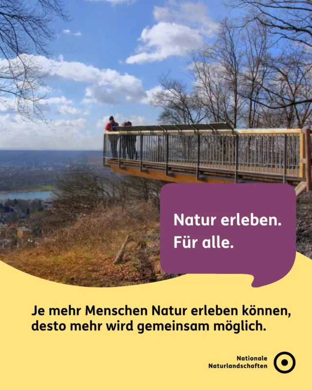🌿 Natur kann begeistern, berühren und verbinden. Doch nicht alle Menschen erleben Naturlandschaften unter den gleichen Voraussetzungen.

Für die Nationalen Naturlandschaften bedeutet Inklusion, Zugänge zu schaffen: zu Erlebnissen, zu Informationen und zu Wissen über die Natur. Dabei geht es um weit mehr als Barrierefreiheit. Es geht darum, unterschiedliche Bedürfnisse mitzudenken und Teilhabe zu ermöglichen. ♿

In den Nationalparken, Naturparken, Biosphärenreservaten und Wildnisgebieten entstehen dafür viele Ansätze: von barrierearmen Wegen über verständliche Informationen bis hin zu Angeboten, die verschiedene Sinne ansprechen. 👂🤲

Denn jede Person erlebt Natur anders. Und genau diese Vielfalt macht unsere Naturlandschaften lebendig. 🌈

💚 Was hilft dir dabei, Natur besonders gut erleben zu können?

#nationalenaturlandschaften #NNL #naturerleben #umweltverstehen #zukunftgestalten

📷 Fotos: Schöne Aussicht für jeden erreichbar im Naturpark Siebengebirge © VDN-Fotoportal/Ulrike Sobick, Hoch hinaus © Beatrix Losem, Reisen für Alle © Nationalpark Kellerwald-Edersee, Wilder Kermeter im Nationalpark Eifel © VDN-Fotoportal/baude, Einweihung Waldlabor in der Waldau (Bonn) im Jahr 2012 © VDN e.V./Jörg Liesen, Braille-Schrift auf Infotafel im Nationalpark Eifel © NNL e.V./Kerstin Emonds, Brücke über den Wipfeln der Bäume im Naturpark Eichsfeld-Hainich-Werratal © VDN-Fotoportal/Ulrich Mingram