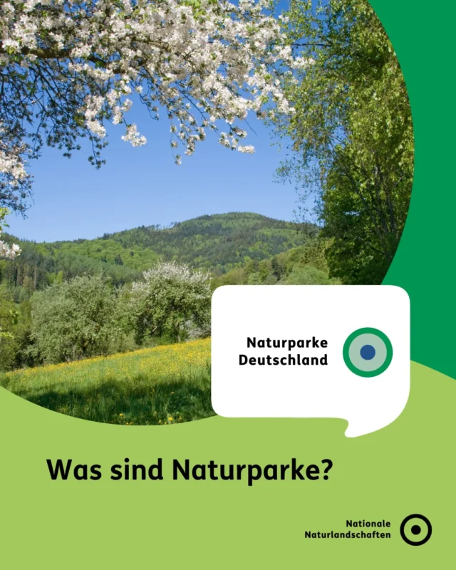 Was sind eigentlich Naturparke? 🤔

Naturparke sind Großschutzgebiete. Sie gestalten und vermitteln Natur und Kulturlandschaften nachhaltig und ermöglichen so den Menschen, Freude und Lebensqualität zu erfahren.🌱

Bei Naturparken handelt es sich um Regionen, in denen sich Mensch und Natur erholen können. Sie bewahren und entwickeln Landschaft und Natur und unterstützen einen naturverträglichen Tourismus. Naturparke fördern eine nachhaltige Regionalentwicklung und tragen dazu bei, die Ansprüche der Menschen an ihre Lebens- und Wirtschaftsräume mit den Anforderungen von Landschafts-, Natur- und Klimaschutz in Einklang zu bringen. 🏞️🌿

In ganz Deutschland gibt es 104 Naturparke.
Unsere Naturparke sind Teil einer großen Familie, dem Bündnis aus mehr als 140 Nationalen Naturlandschaften. 💚

Es gibt bestimmt auch einen in deiner Nähe!
Erzähl uns doch deinen schönsten Naturparkmoment in den Kommentaren. 🙂🌳

#nationalenaturlandschaften #NNL #naturpark #landschaftenvollerleben #naturerleben

📷 Fotos:
Frühlingslandschaft im Naturpark Schwarzwald Mitte/Nord (Bad Herrenalb) © VDN-Fotoportal/Erwin Streit; Rotmilan © VDN-Fotoportal/Michael Harmsen; Von Natur aus neugierig auf Natur im Naturpark Rheinland ©VDN-Fotoportal/Ulrike Sobick; Streuobstwiese im Naturpark Fränkische Schweiz © VDN-Fotoportal/Ulrike Sobick; Fachwerk und Blumen im Naturpark Elbhöhen-Wendland (Radegast) © VDN-Fotoportal/Benson
