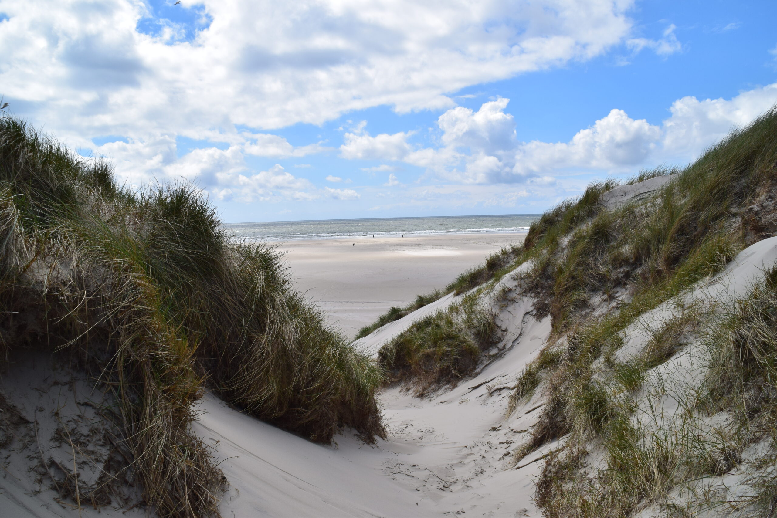 Niedersächsiche Nordseeküste