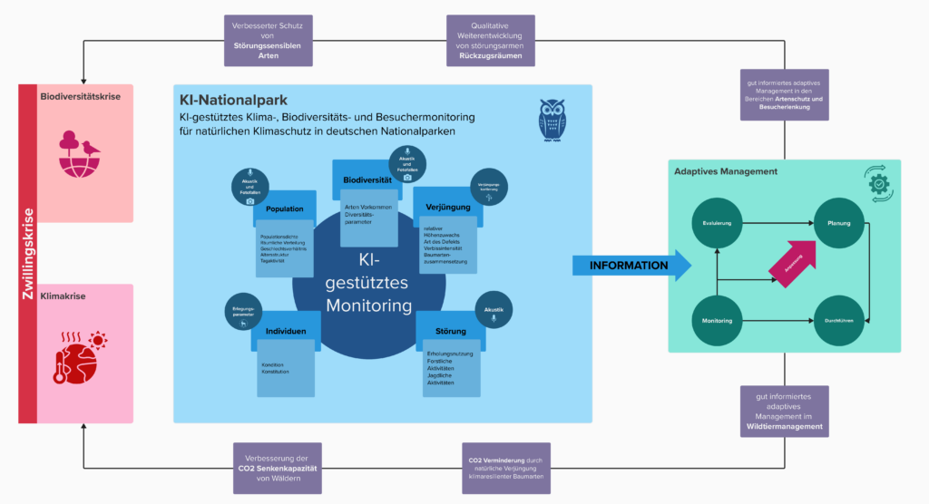 Die Infografik erklärt, dass KI-gestütztes Klima-, Biodiversitäts- und Besuchermonitoring die Informationsbasis für ein adaptives Management in den Gebieten bildet, mit dem Ziel Klima- und Biodiversitätskrise zu adressieren.