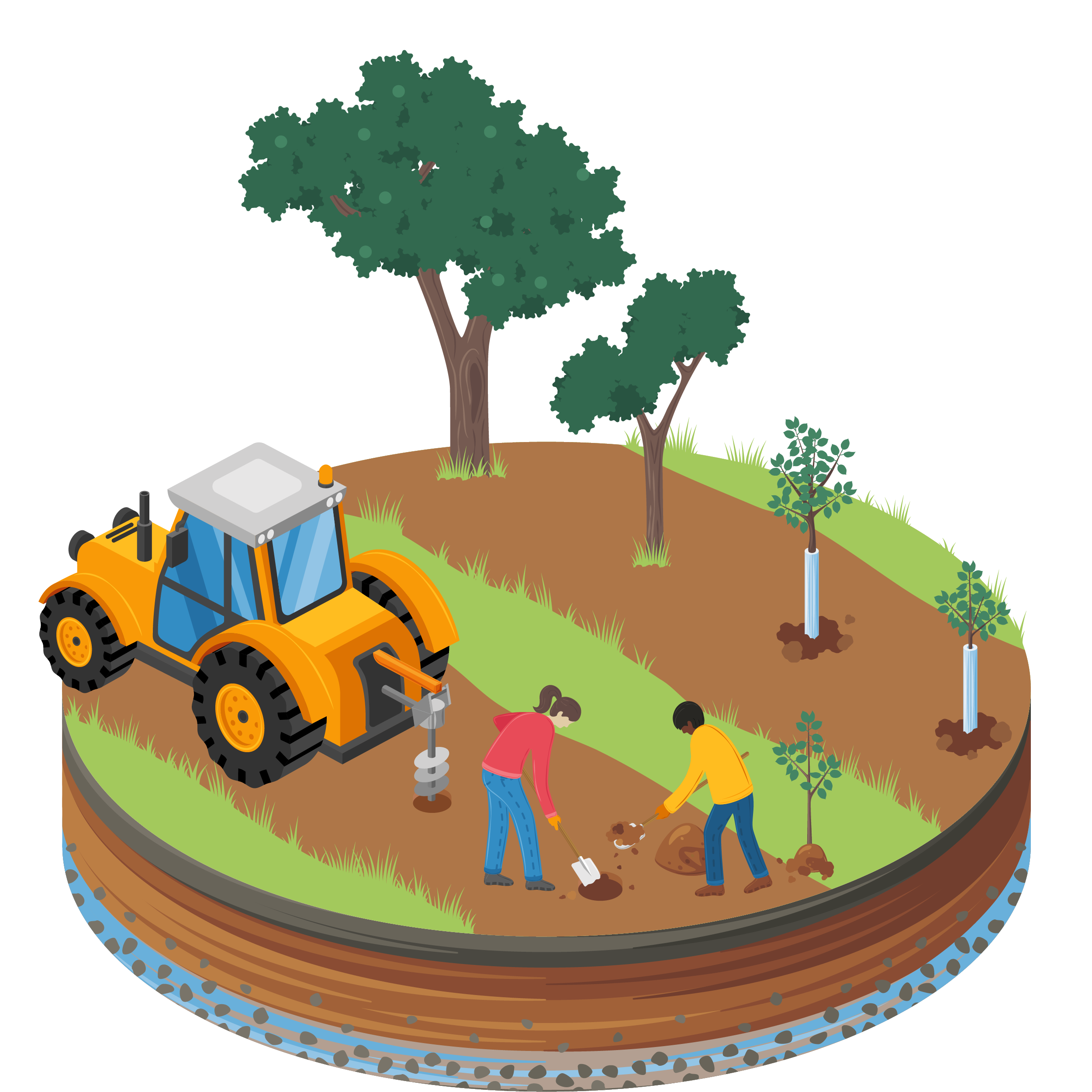 Agroforstsysteme 